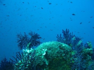 Sorties exploration avec Club Sous l Eau.jpg